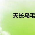 天长乌毛蕨（关于天长乌毛蕨简介）