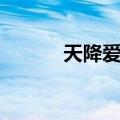 天降爱情（关于天降爱情简介）
