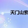 天门山索道（关于天门山索道简介）