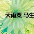 天雨粟 马生角（关于天雨粟 马生角简介）