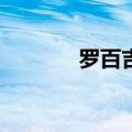 罗百吉吹喇叭DJ（吹喇叭dj）
