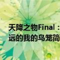 天降之物Final：永远的我的鸟笼（关于天降之物Final：永远的我的鸟笼简介）