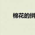 棉花的拼音怎么读音（棉花的拼音）