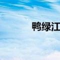 鸭绿江在哪里啊（鸭绿江在哪）