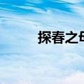 探春之母是谁（探春是谁的女儿）