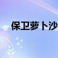 保卫萝卜沙漠9攻略图（保卫萝卜沙漠9）