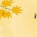 ifitness官网（ifit）