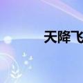 天降飞尸（关于天降飞尸简介）