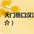 天门岳口汉江大桥（关于天门岳口汉江大桥简介）