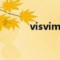 visvim拖鞋官方（visvim拖鞋）