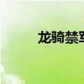 龙骑禁军谁武功最高（龙骑禁军）