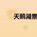 天鹅湖景区（关于天鹅湖景区简介）