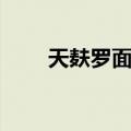 天麸罗面浆（关于天麸罗面浆简介）