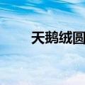 天鹅绒圆锯（关于天鹅绒圆锯简介）