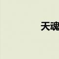 天魂王（关于天魂王简介）
