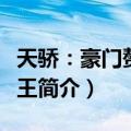 天骄：豪门赘婿兵王（关于天骄：豪门赘婿兵王简介）