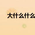 大什么什么什么成语（大什么什么什么）