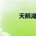 天鹅湖路（关于天鹅湖路简介）