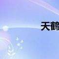 天鹤座（关于天鹤座简介）