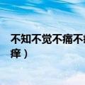 不知不觉不痛不痒多少的时光是什么意思（不知不觉不痛不痒）