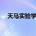 天马实验学校（关于天马实验学校简介）