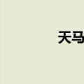 天马寨（关于天马寨简介）