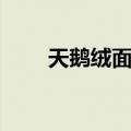 天鹅绒面料（关于天鹅绒面料简介）