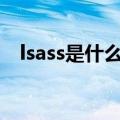 lsass是什么软件（lsasecretsview软件）