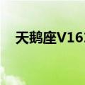 天鹅座V1619（关于天鹅座V1619简介）