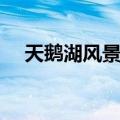 天鹅湖风景区（关于天鹅湖风景区简介）