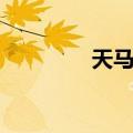 天马赋（关于天马赋简介）