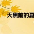 天黑前的夏天（关于天黑前的夏天简介）