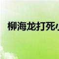 柳海龙打死小混混（柳海龙被黑社会废了）