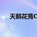 天鹅花苑C区（关于天鹅花苑C区简介）