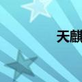 天麒号（关于天麒号简介）