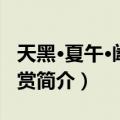 天黑·夏午·阖家观赏（关于天黑·夏午·阖家观赏简介）