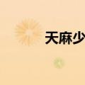 天麻少女（关于天麻少女简介）
