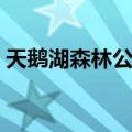 天鹅湖森林公园（关于天鹅湖森林公园简介）
