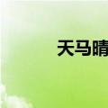 天马晴岚（关于天马晴岚简介）