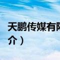 天鹏传媒有限公司（关于天鹏传媒有限公司简介）