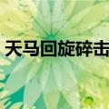 天马回旋碎击拳（关于天马回旋碎击拳简介）