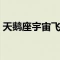 天鹅座宇宙飞船（关于天鹅座宇宙飞船简介）