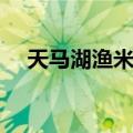 天马湖渔米乡（关于天马湖渔米乡简介）