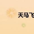 天马飞翔（关于天马飞翔简介）