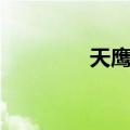天鹰侠（关于天鹰侠简介）