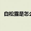 白松露是怎么形成的（白松露是什么东西）