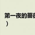 第一夜的蔷薇第二部介（第一夜的蔷薇第二部）