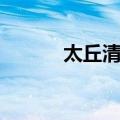 太丘清气（关于太丘清气简介）