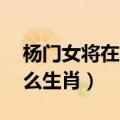 杨门女将在12生肖为哪个肖（杨门女将是什么生肖）