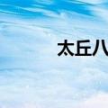 太丘八景（关于太丘八景简介）